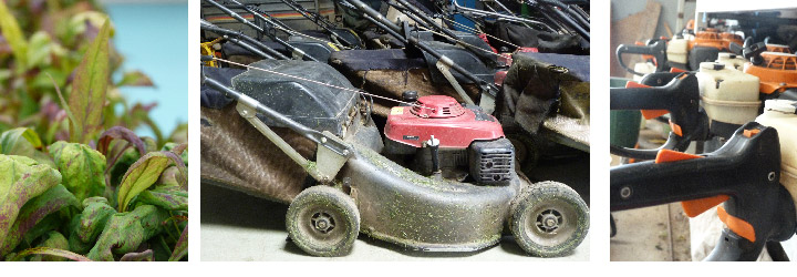 Atelier Espaces Verts de l'ESAT de Mayenne - EPSMS La Filousière